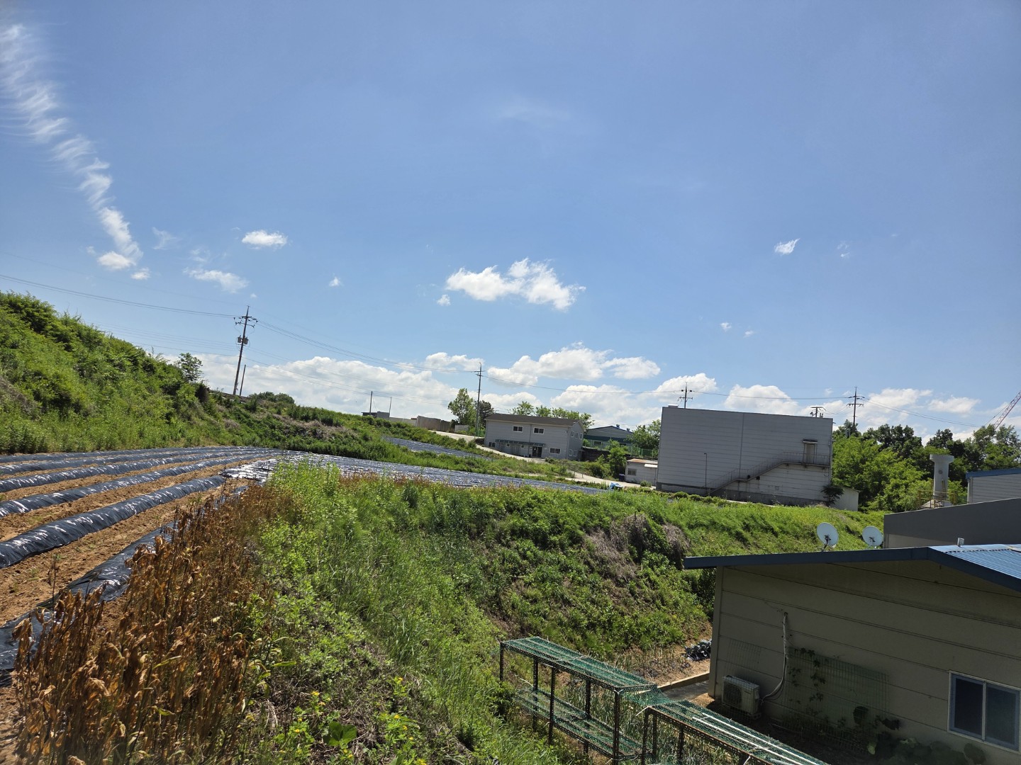 Post image 3
