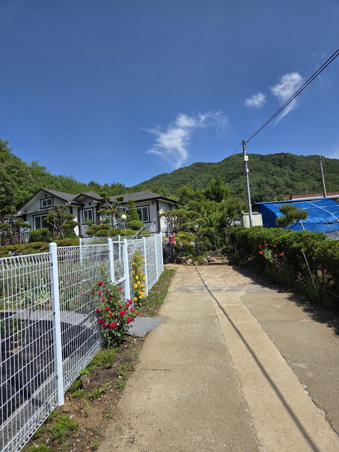 Post image 4