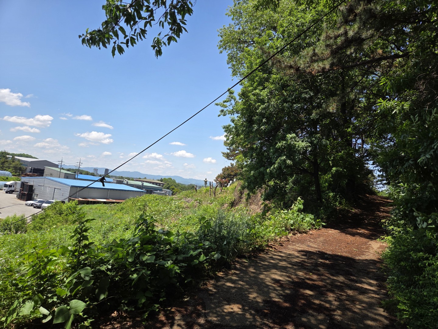Post image 6