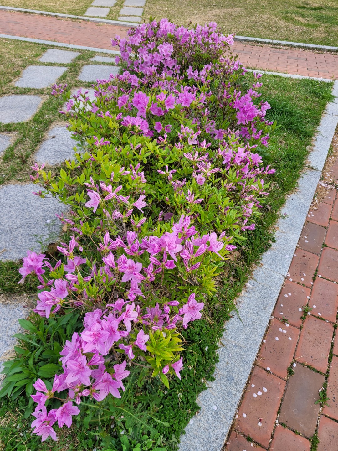 Post image 3