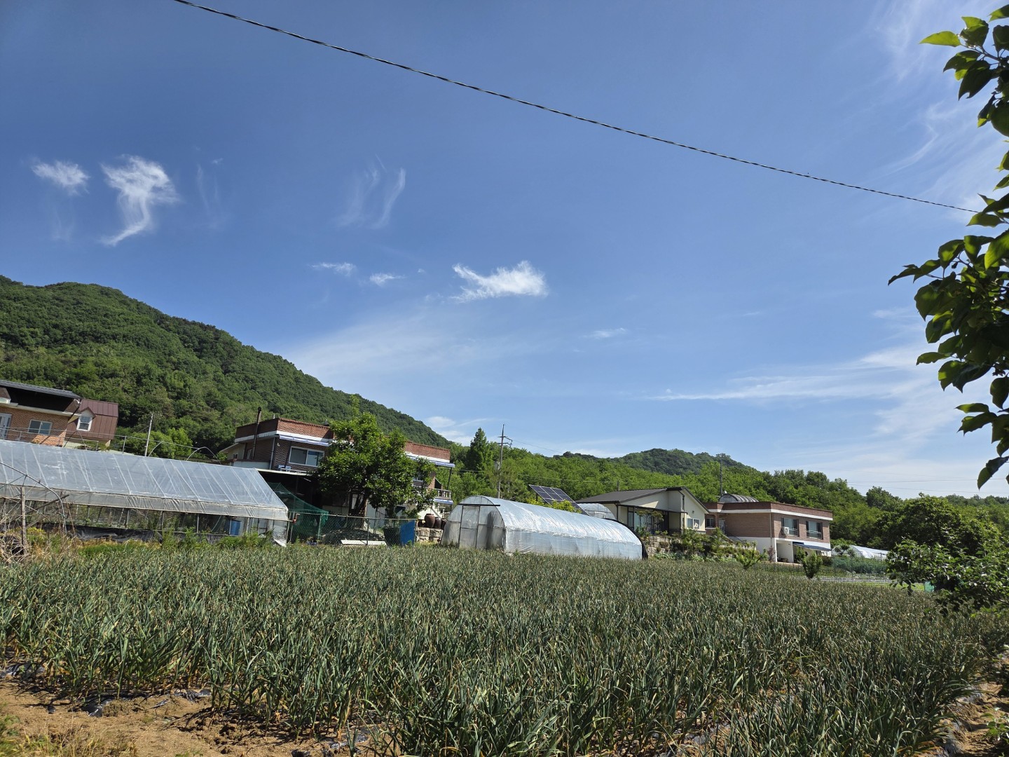 Post image 11
