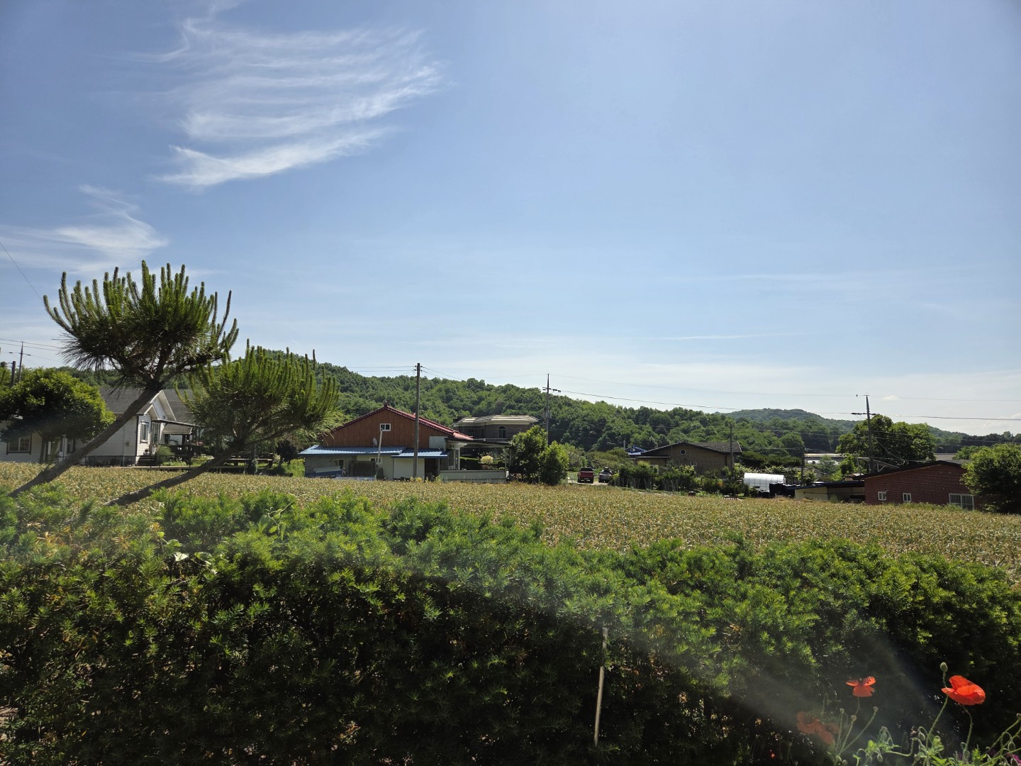 Post image 6