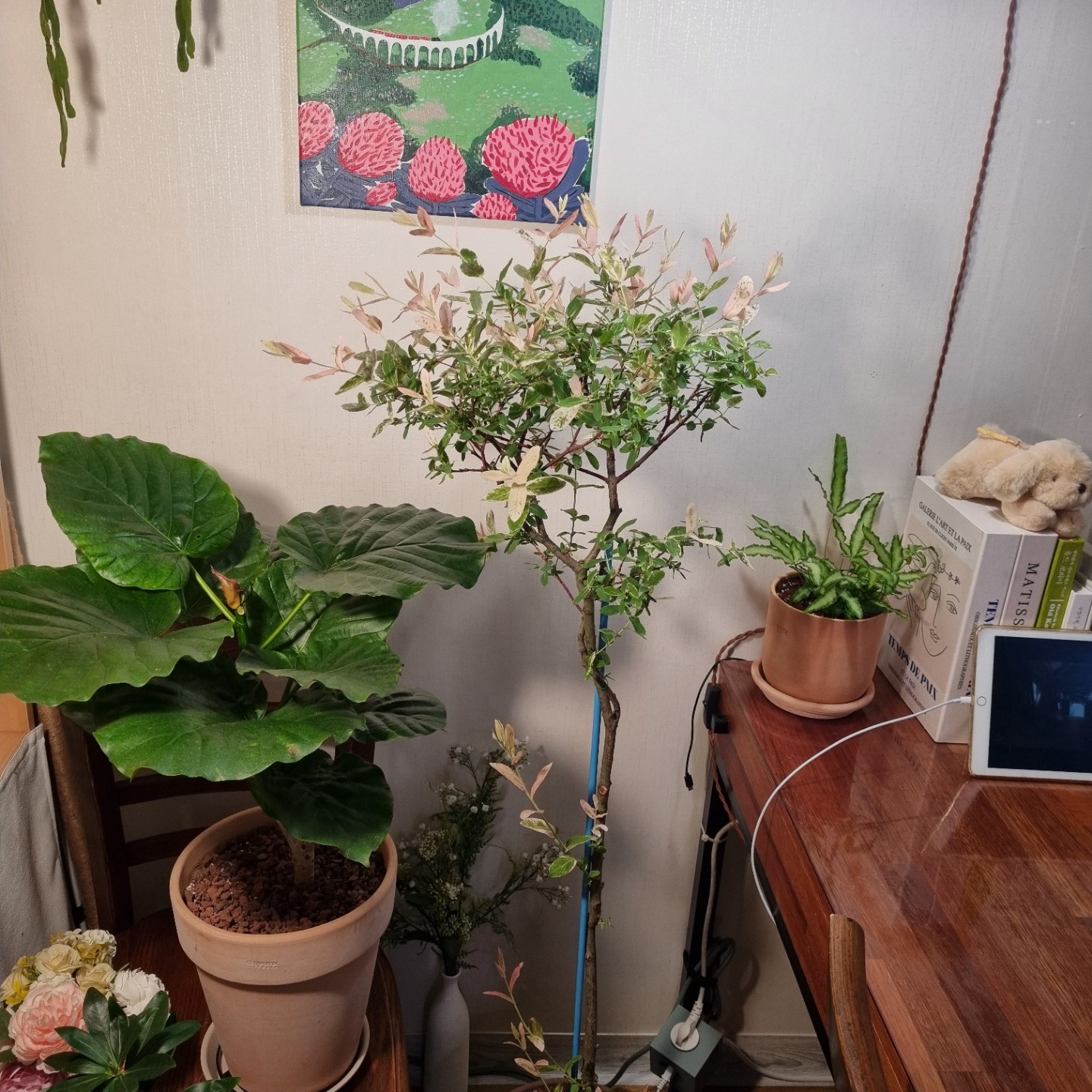 Post image 6