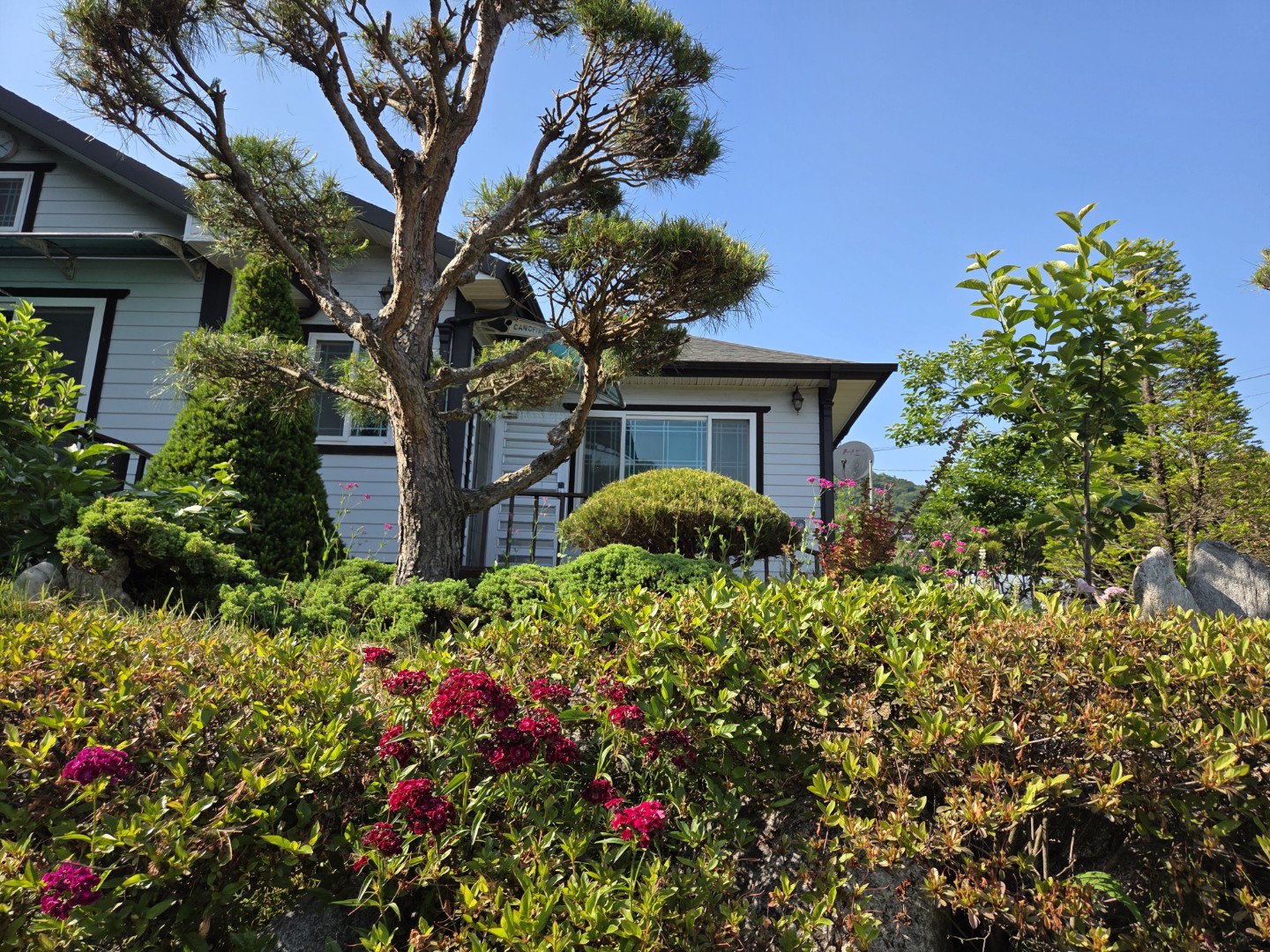 Post image 7