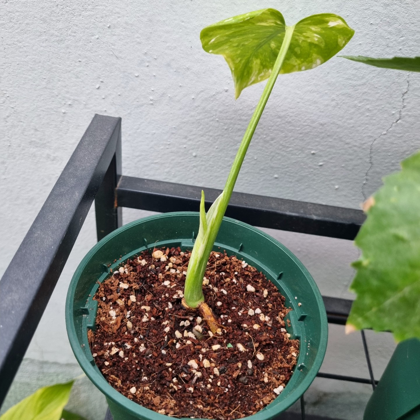 Post image 2