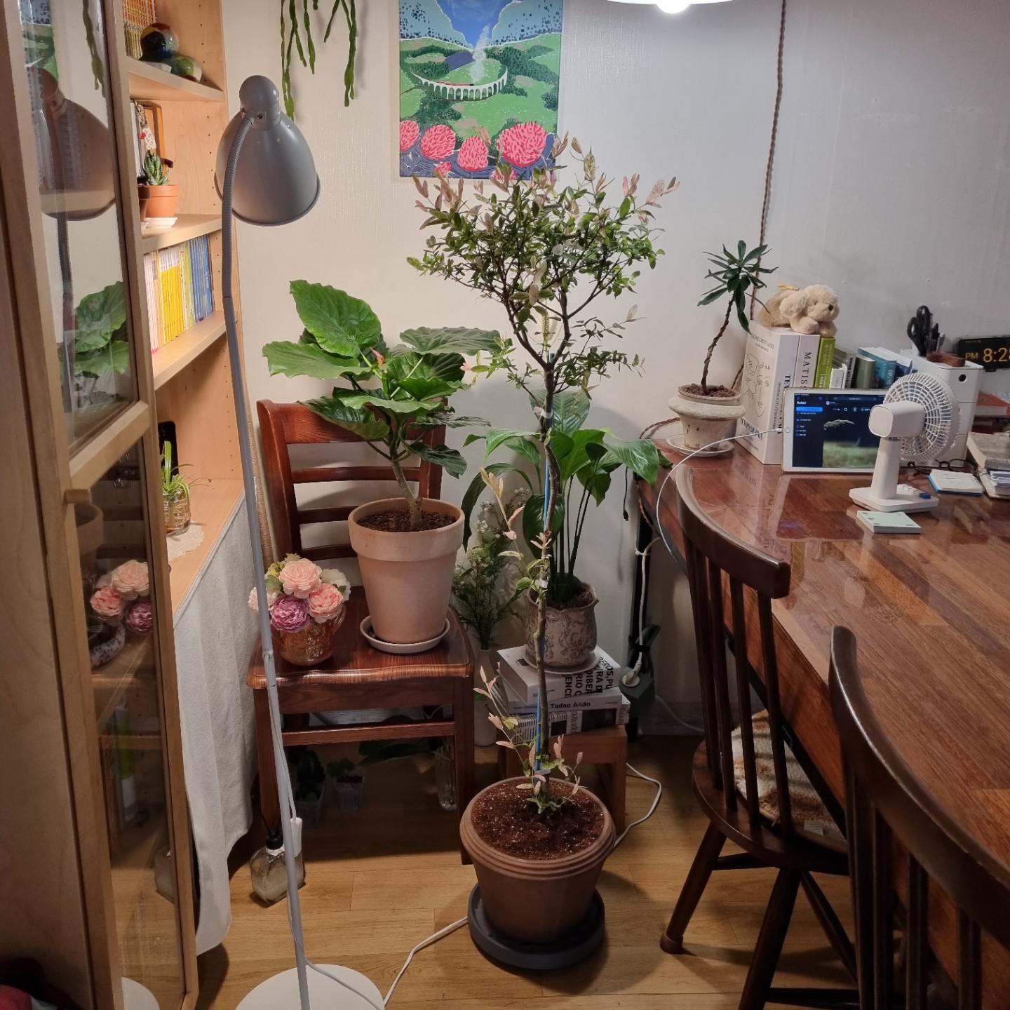Post image 7