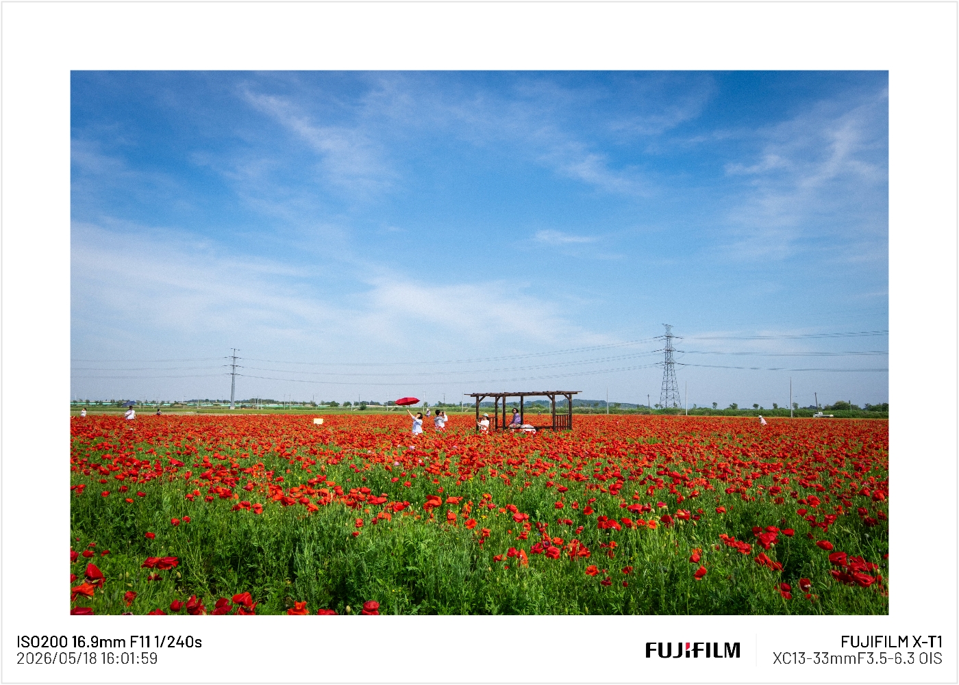 Post image 8