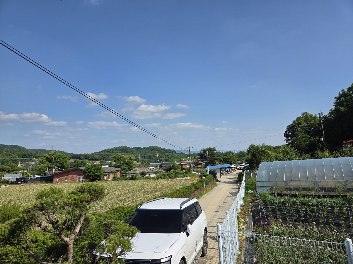 Post image 3