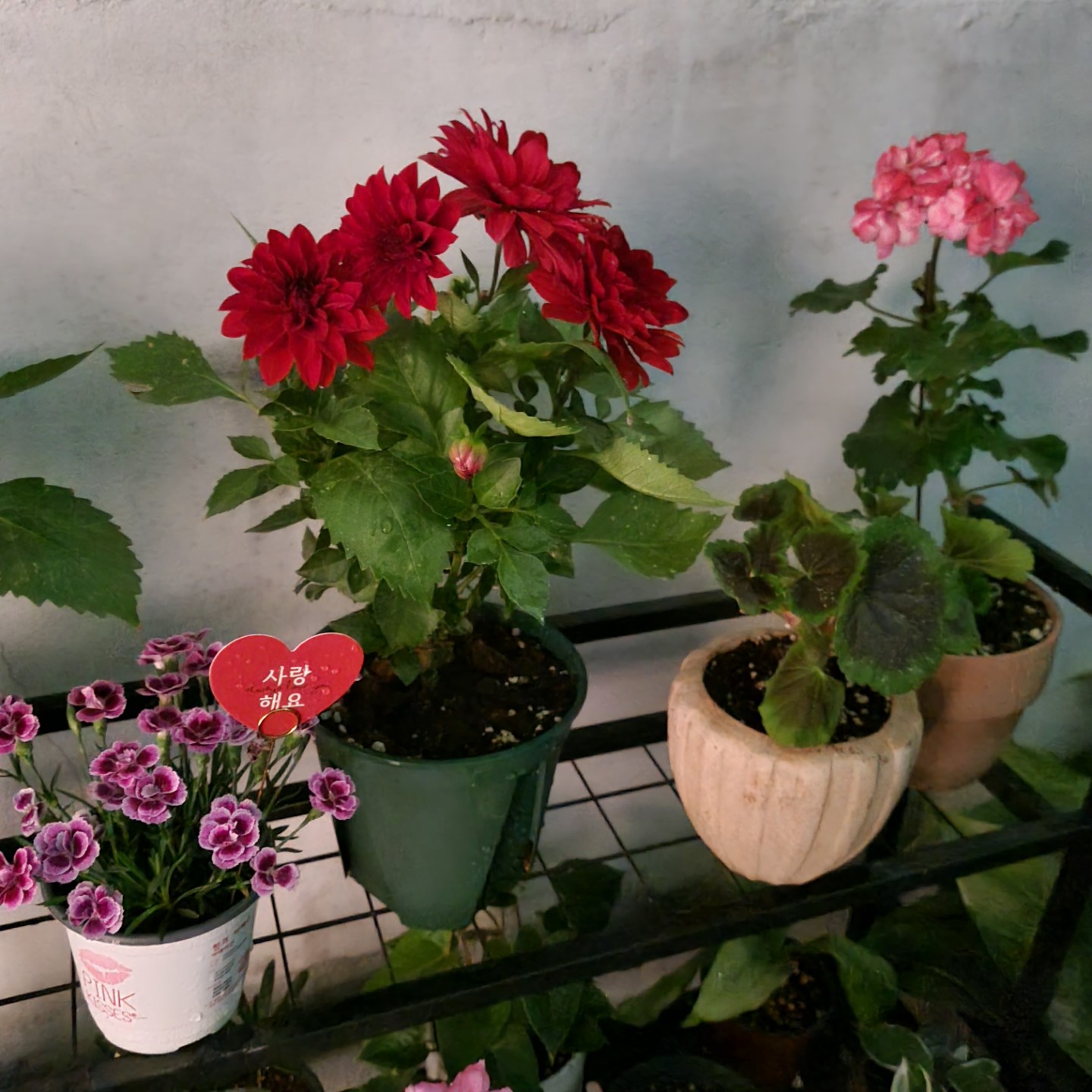 Post image 4