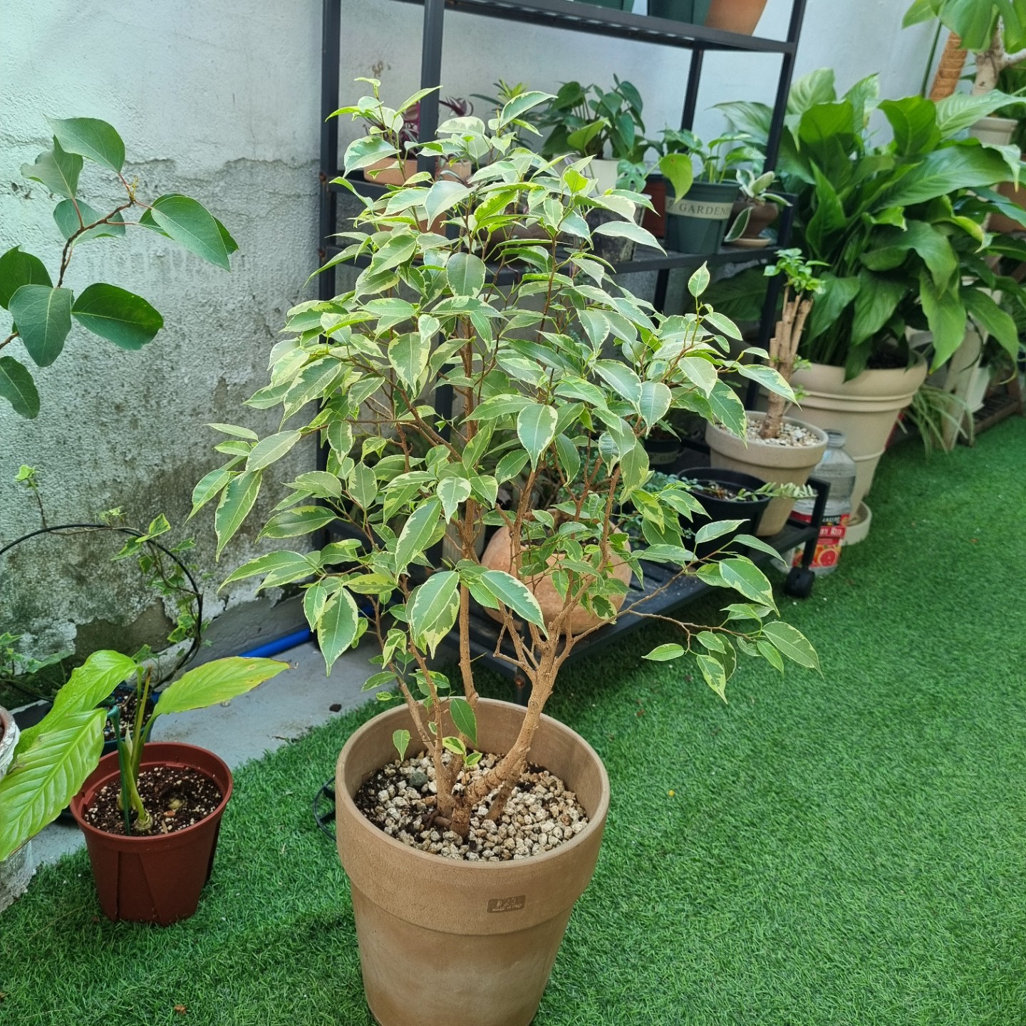 Post image 3