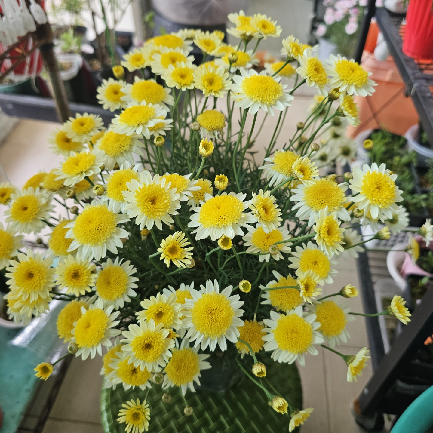 Post image 6