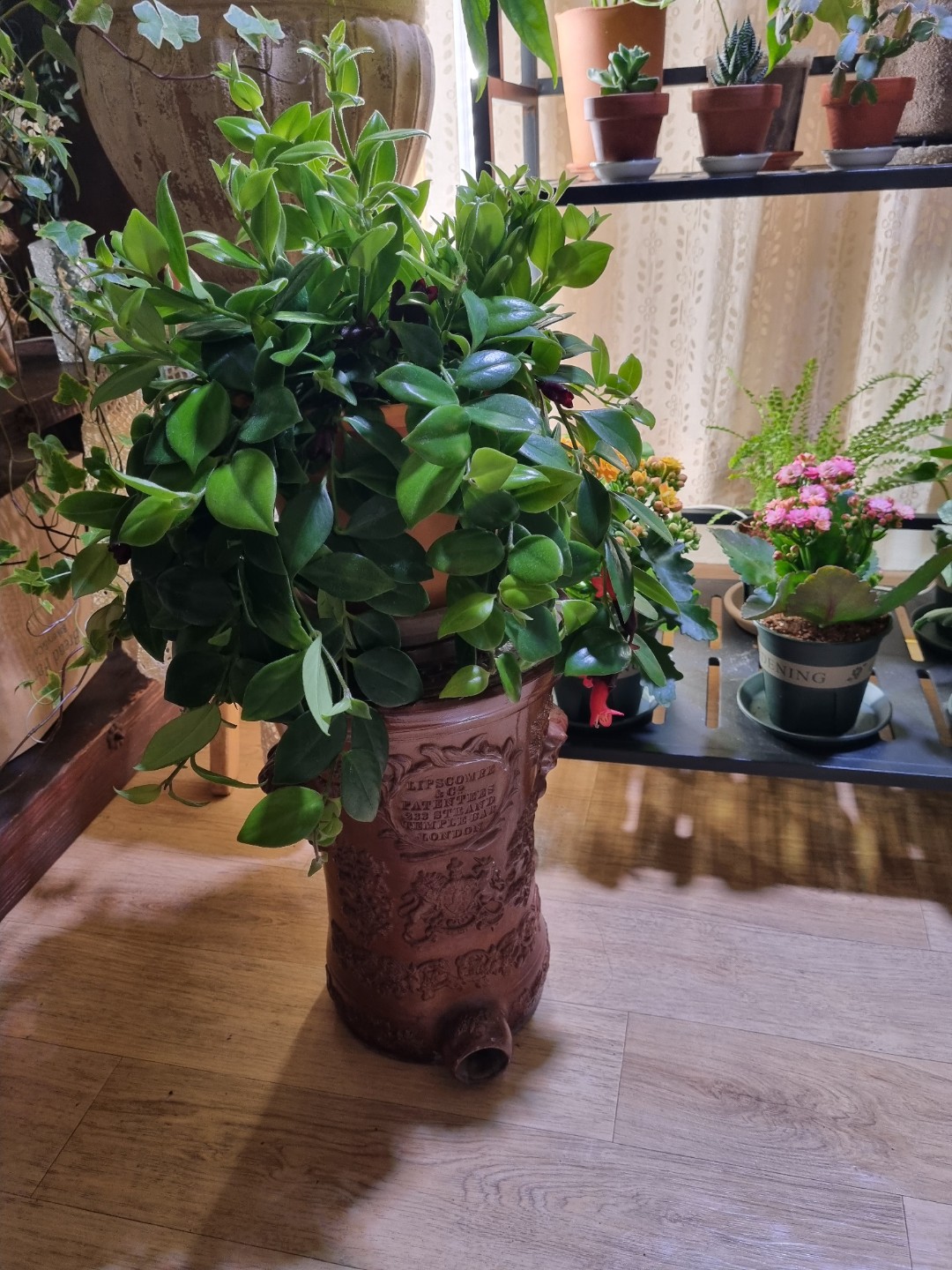 Post image 10