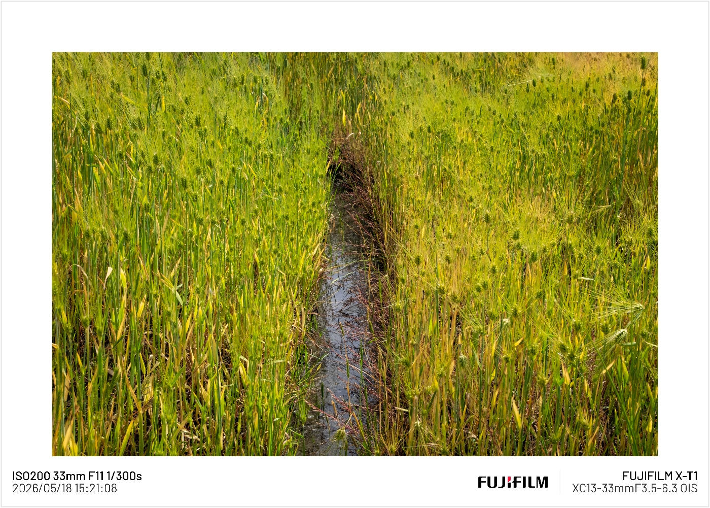Post image 6
