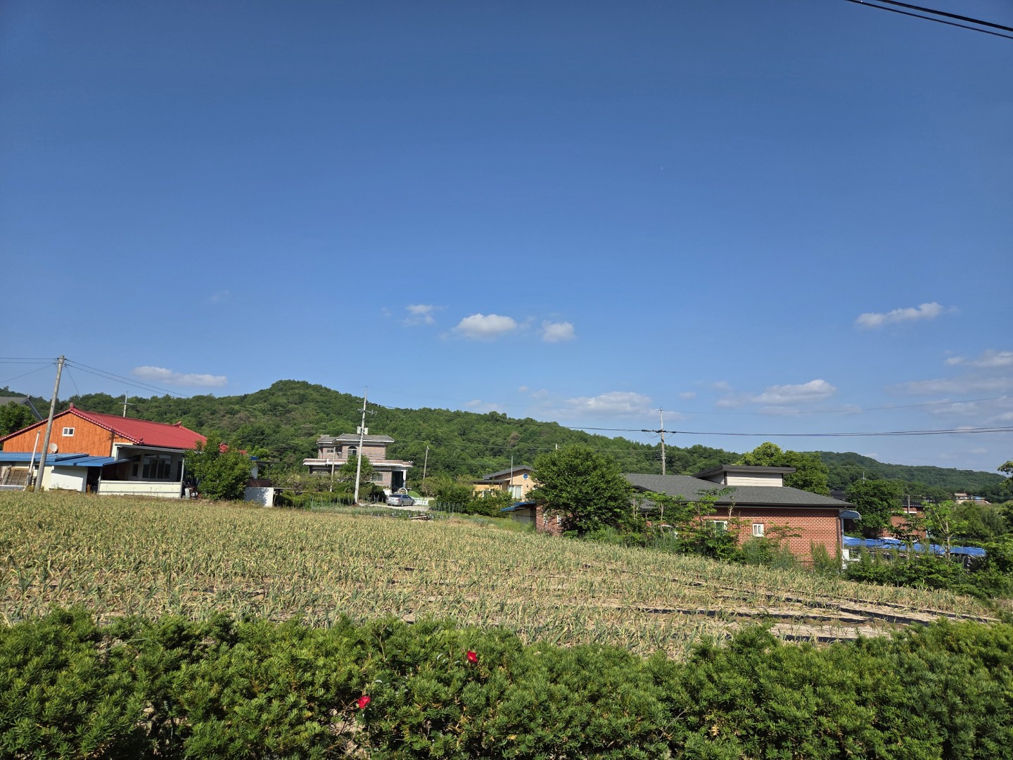 Post image 3