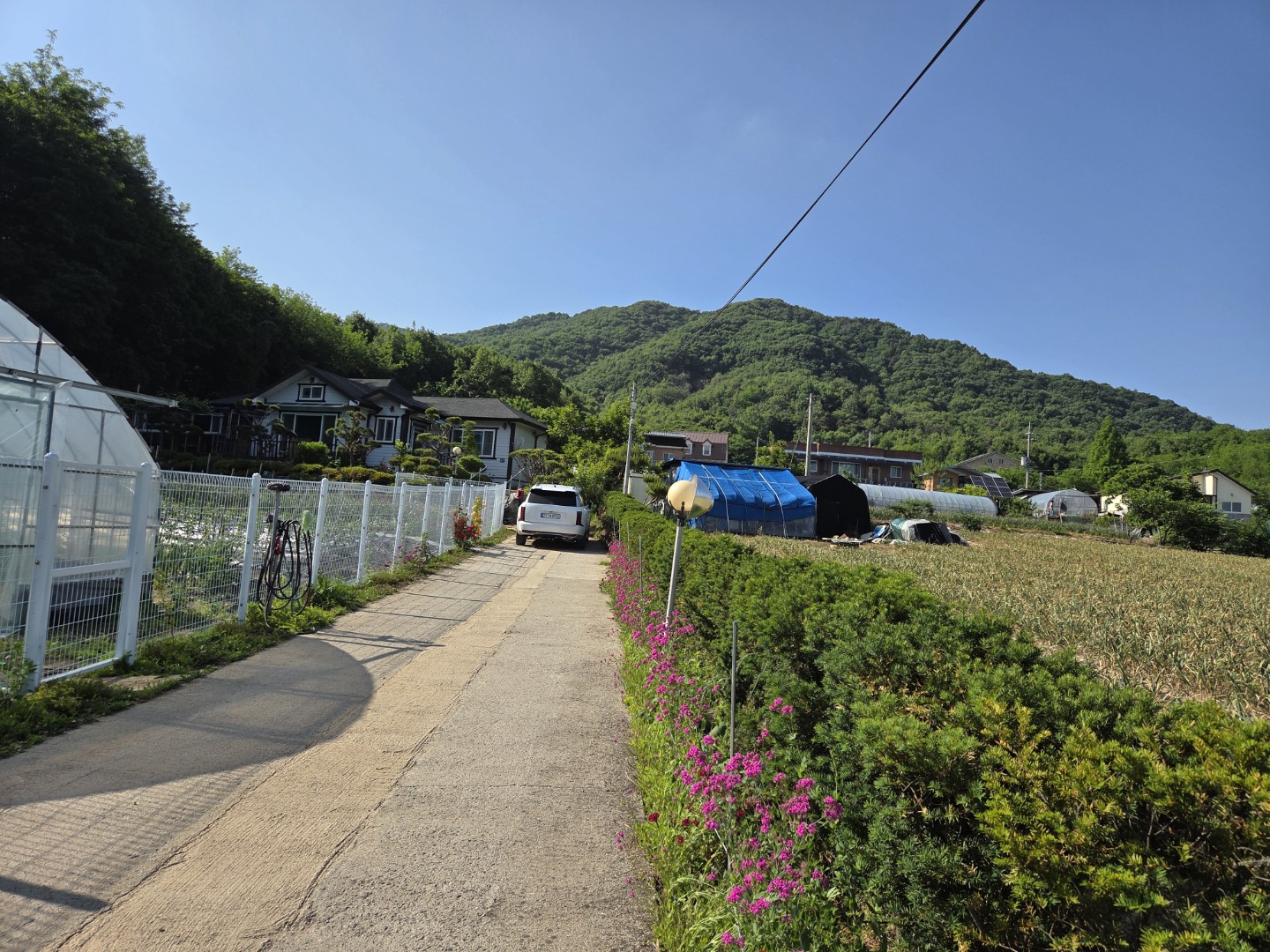 Post image 2