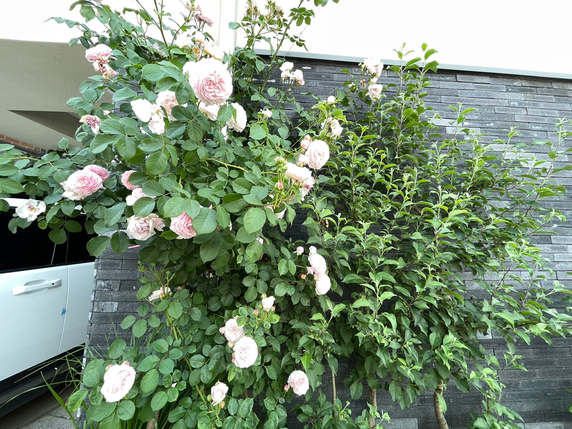 Post image 9