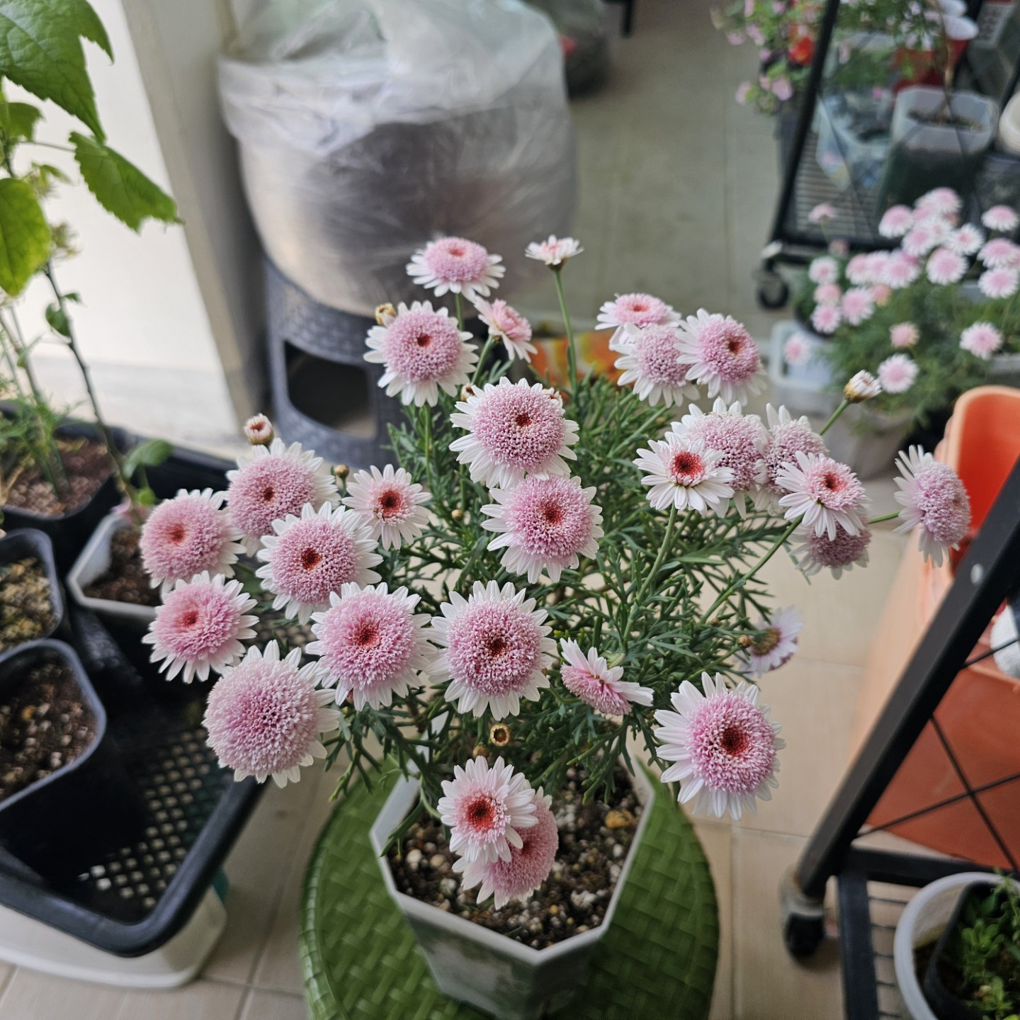 Post image 7