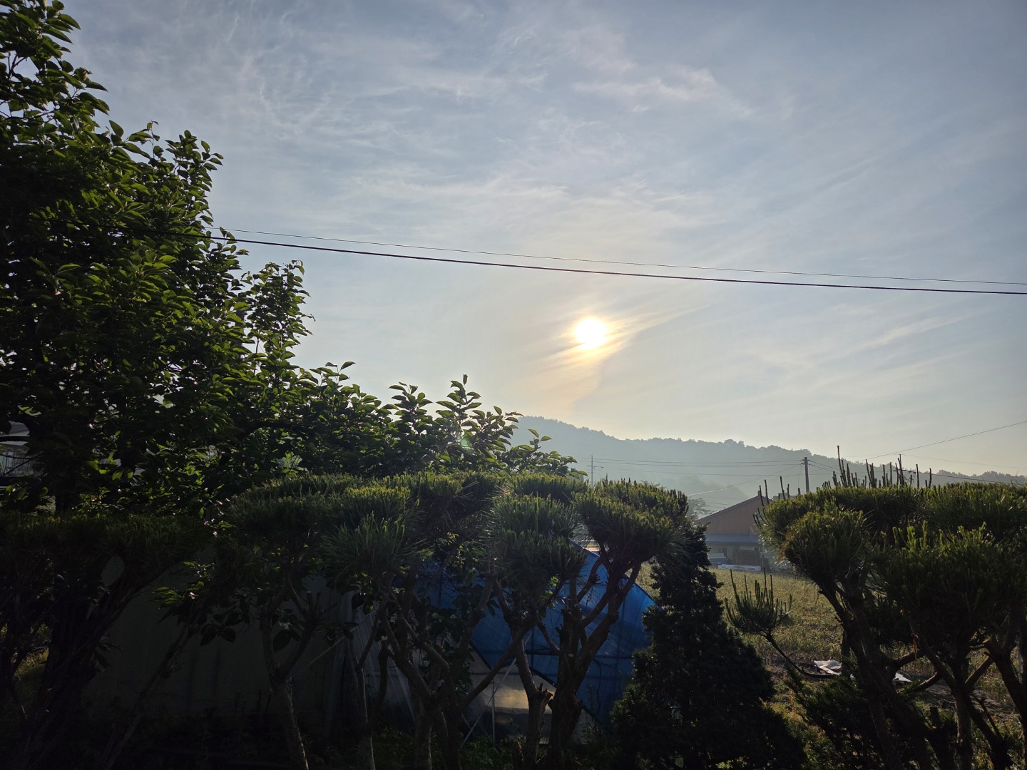 Post image 13
