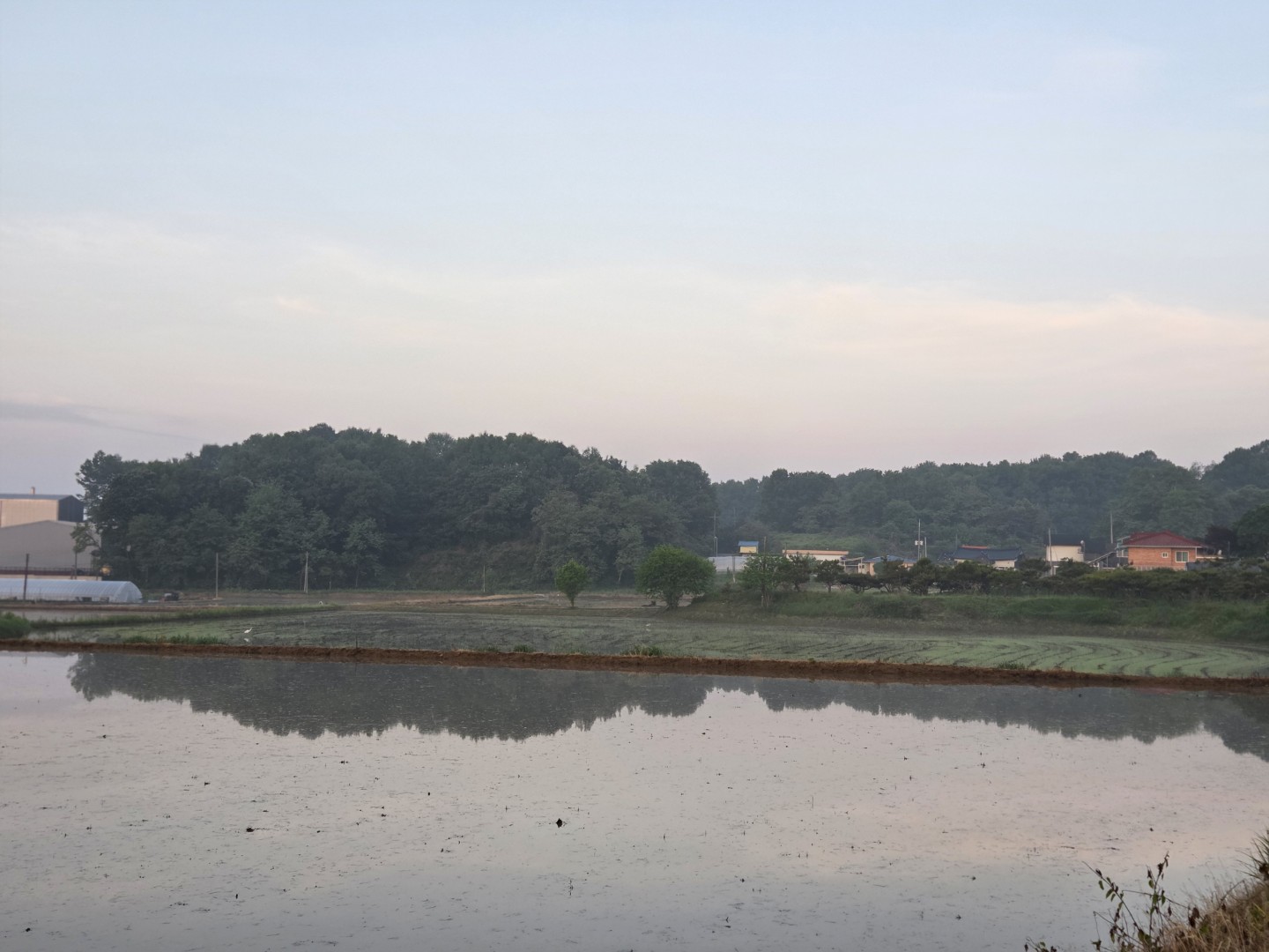 Post image 10