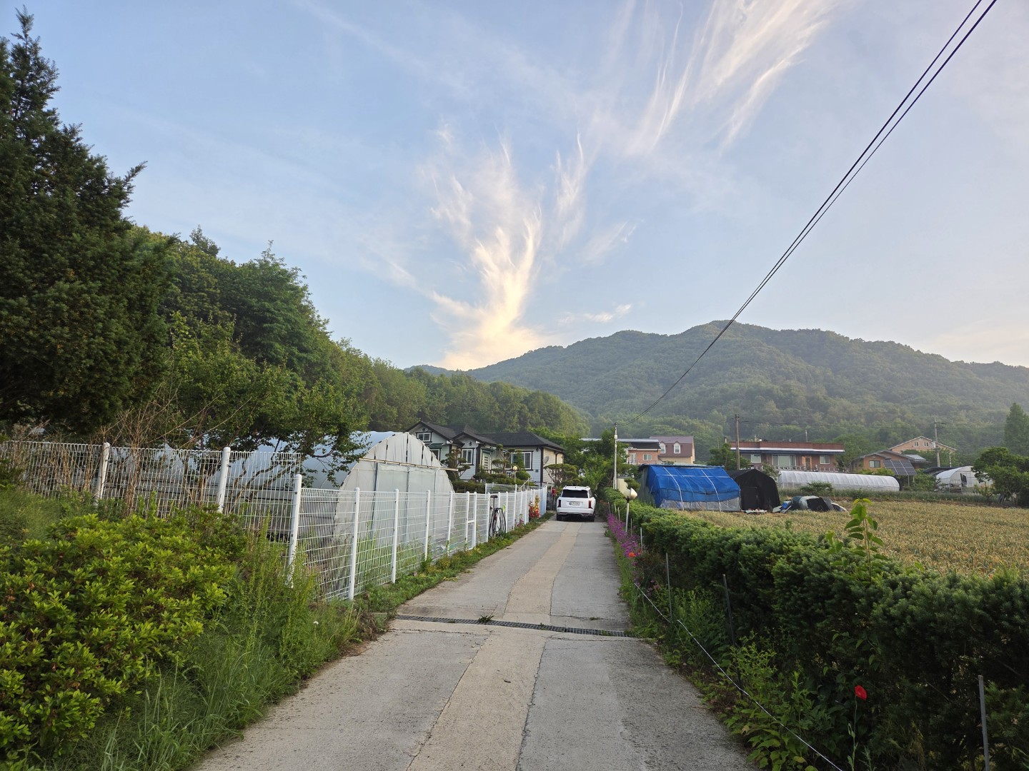 Post image 6