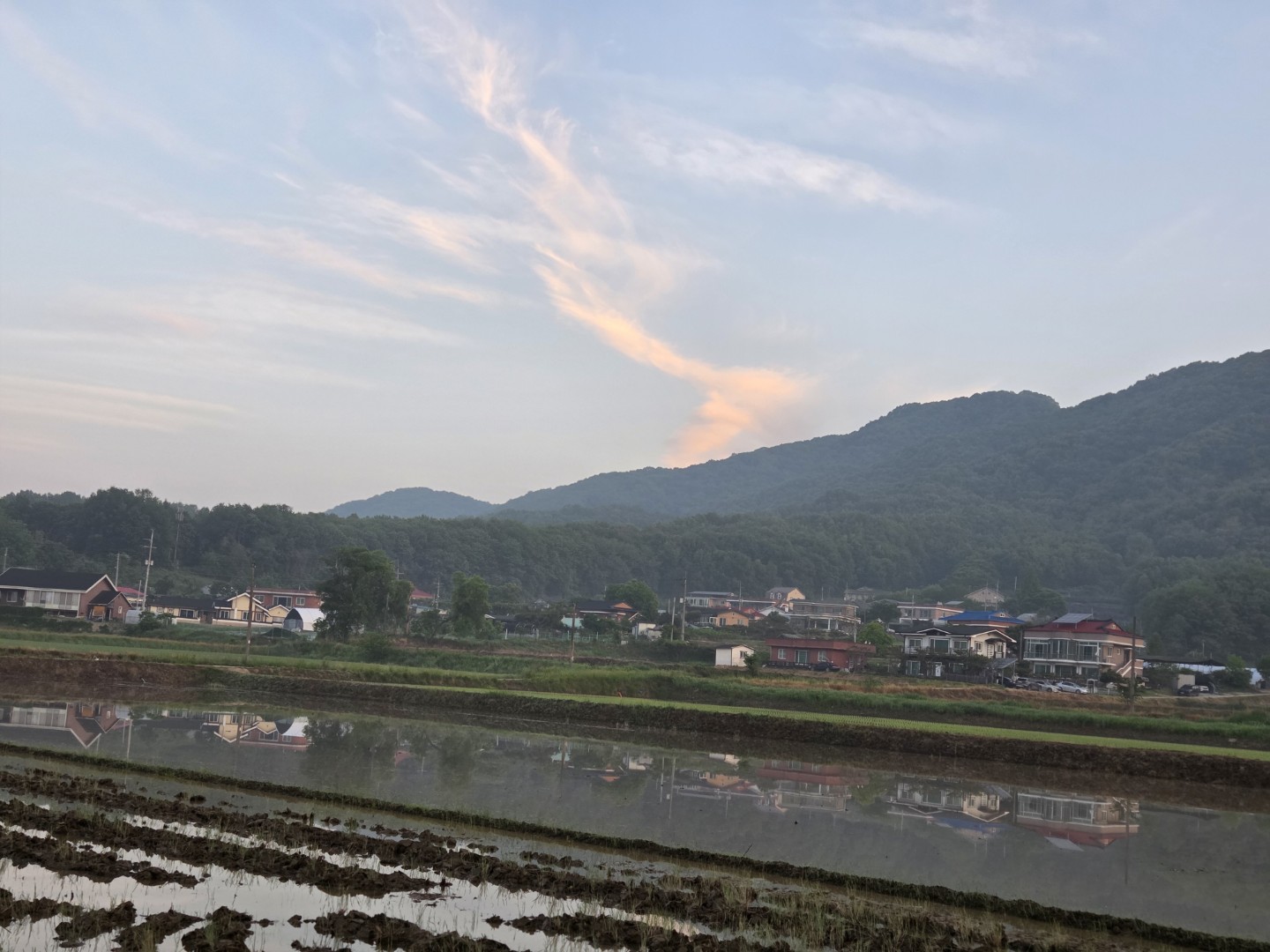 Post image 11