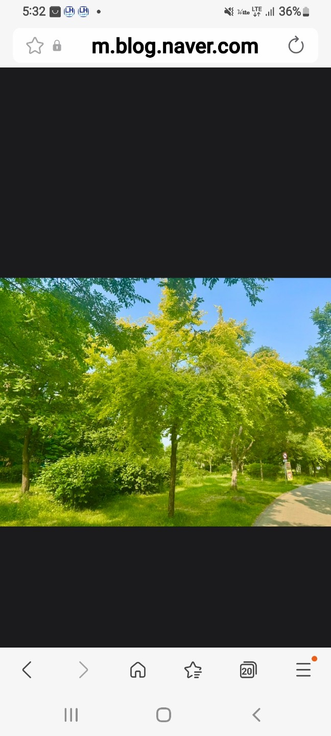Post image 2