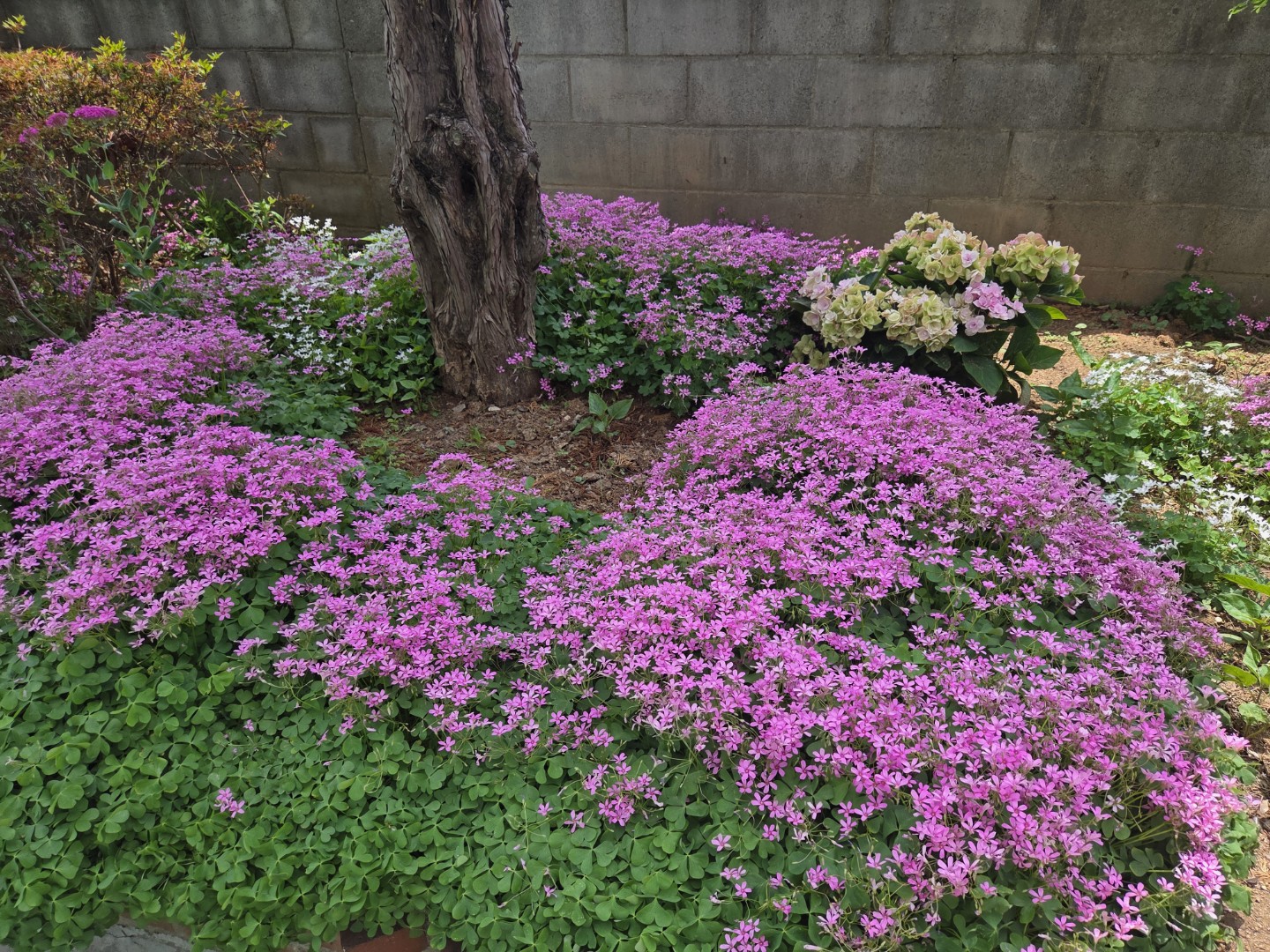 Post image 9