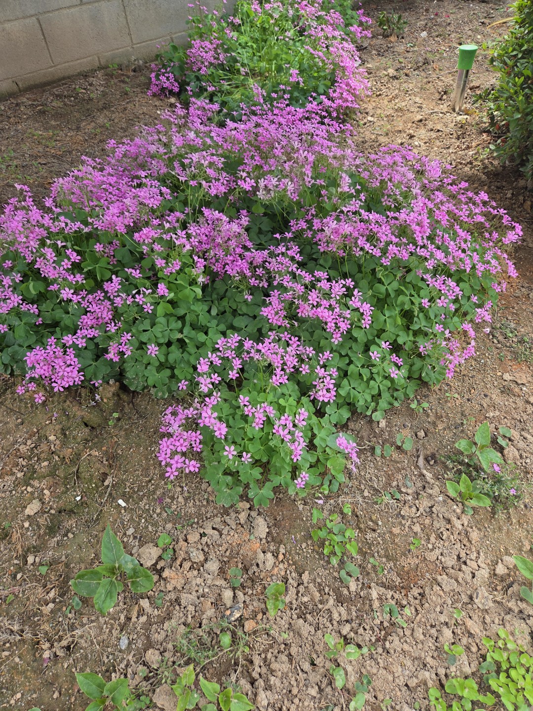 Post image 7