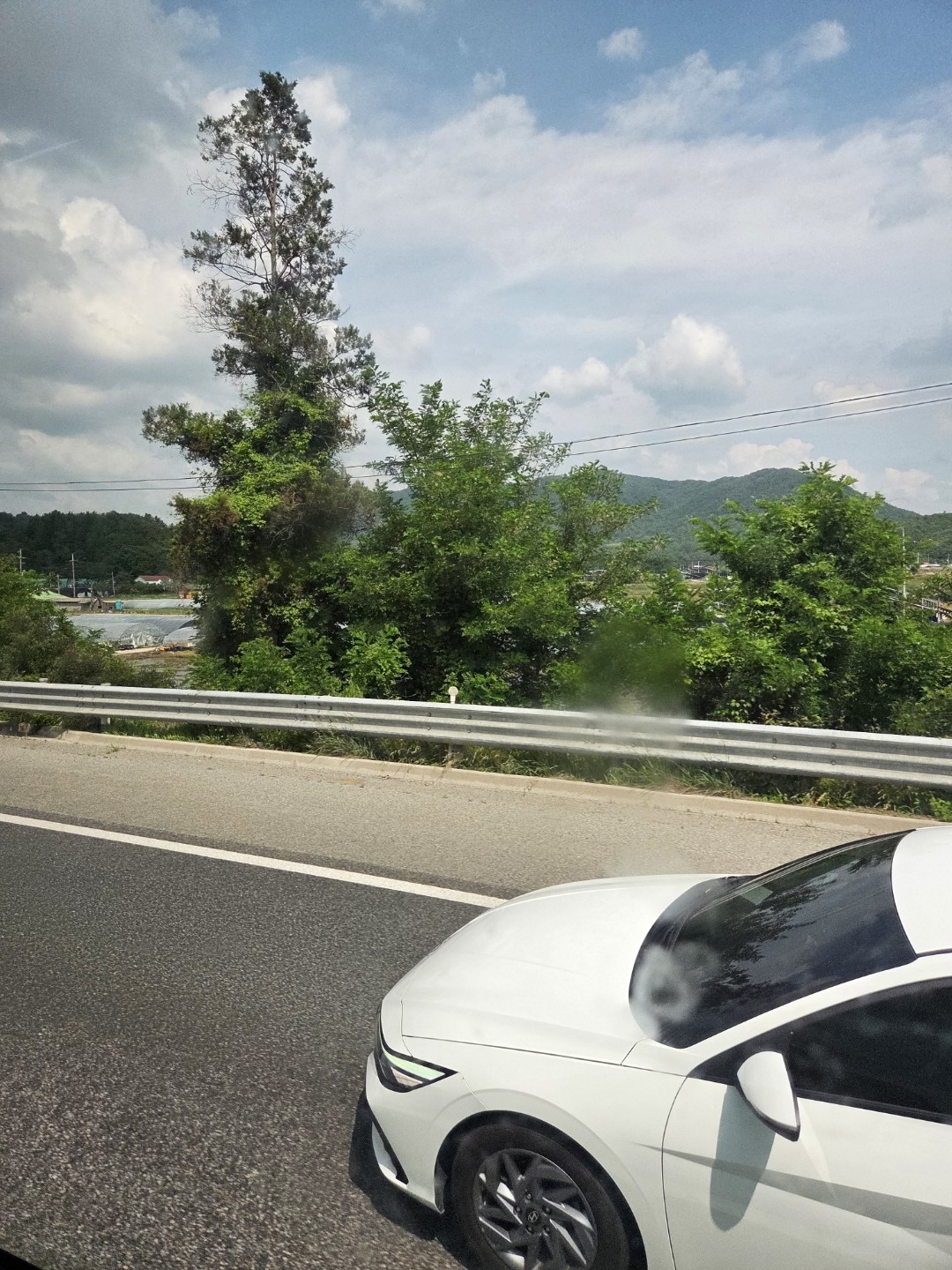 Post image 9