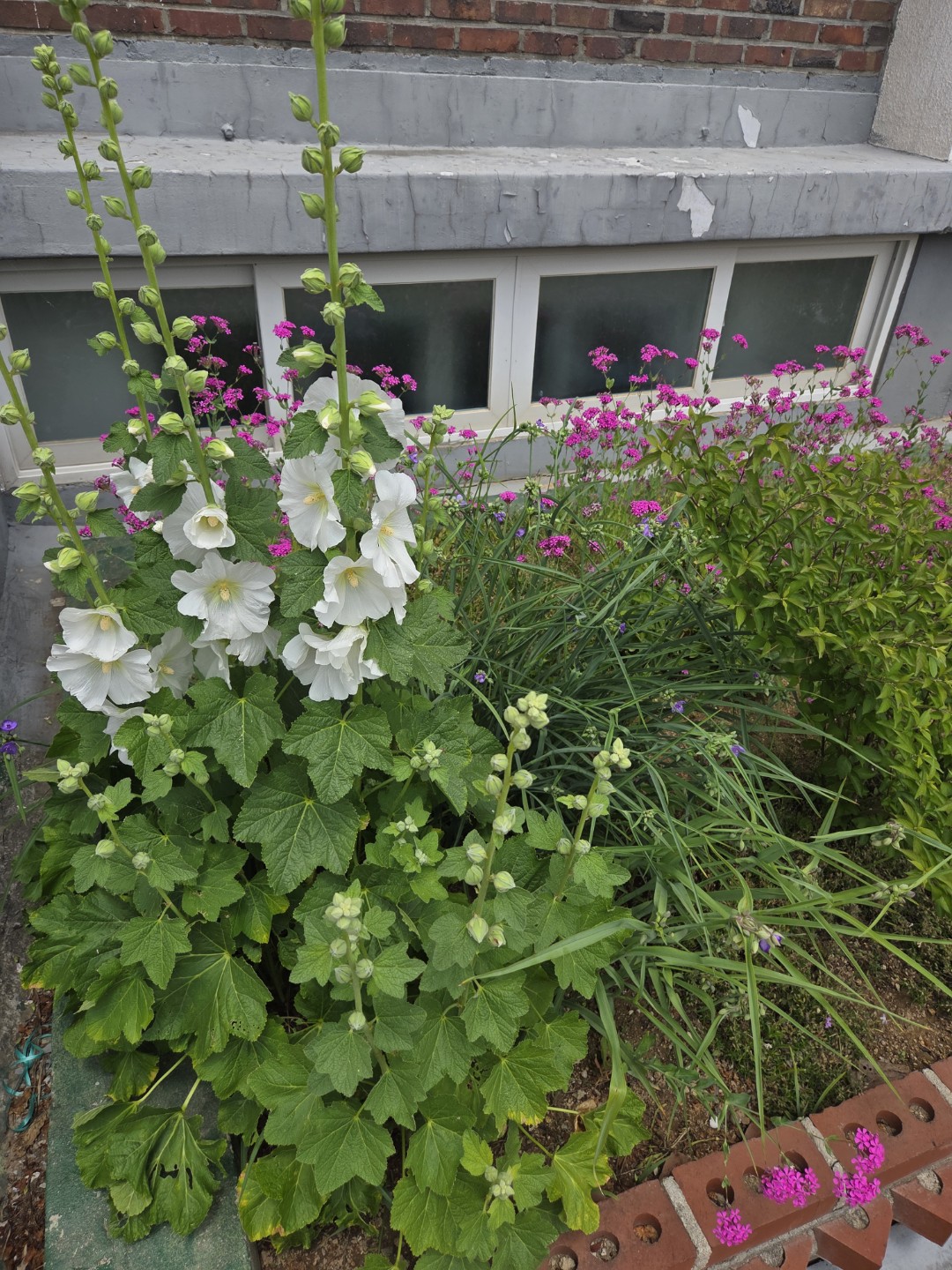 Post image 10