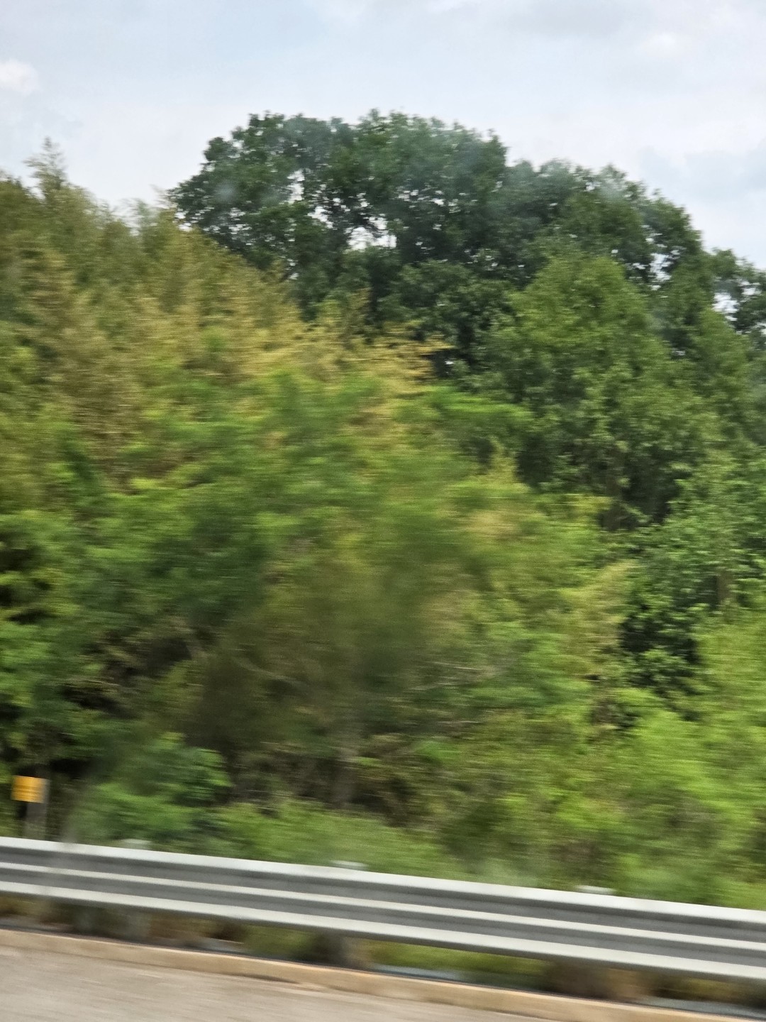 Post image 11