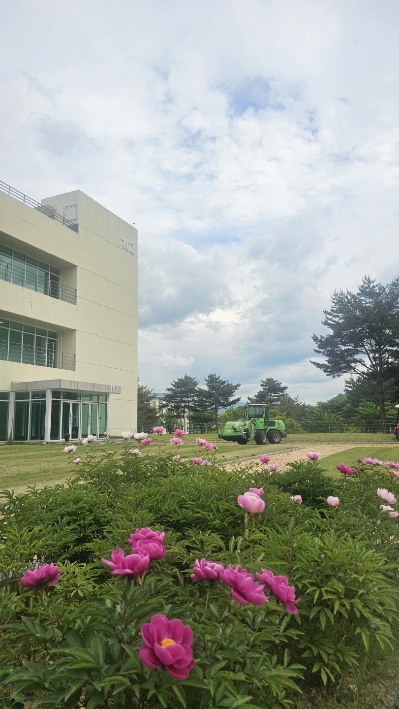 Post image 10
