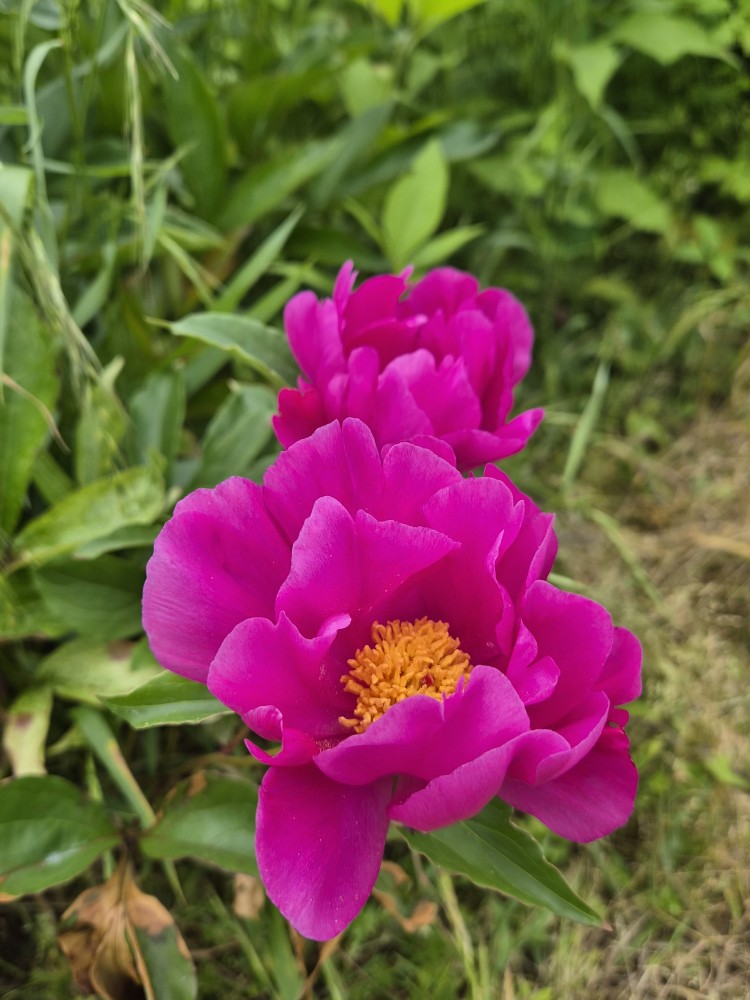 Post image 11