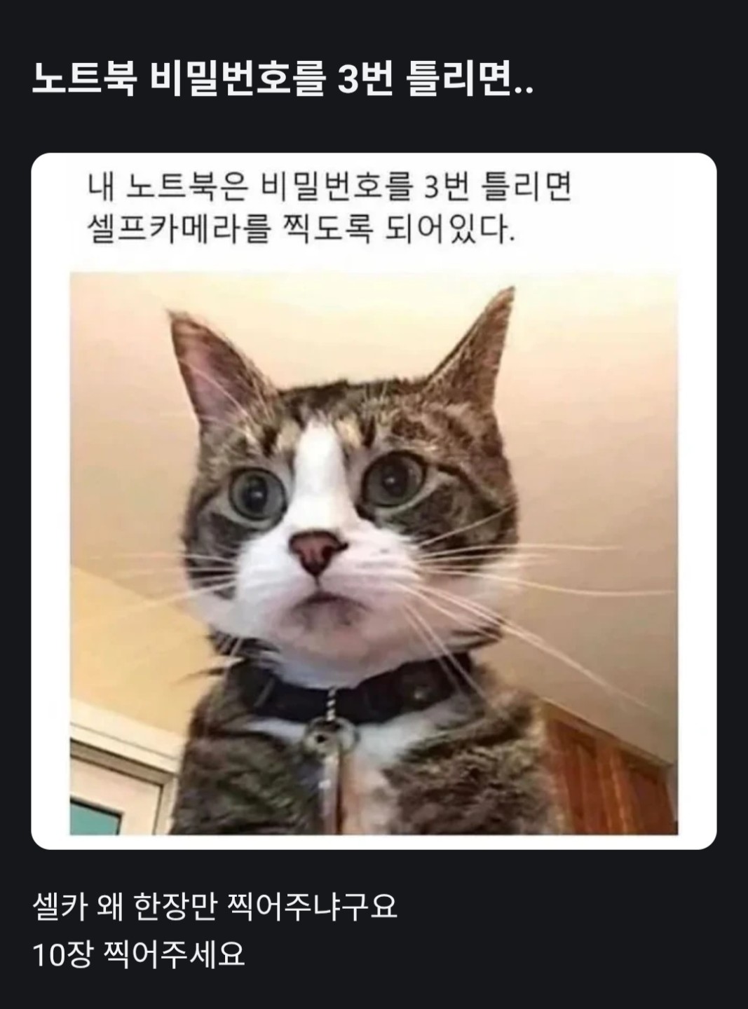 Post image 2