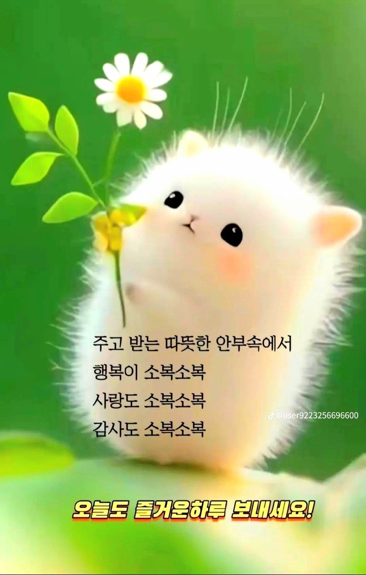 Post image 10