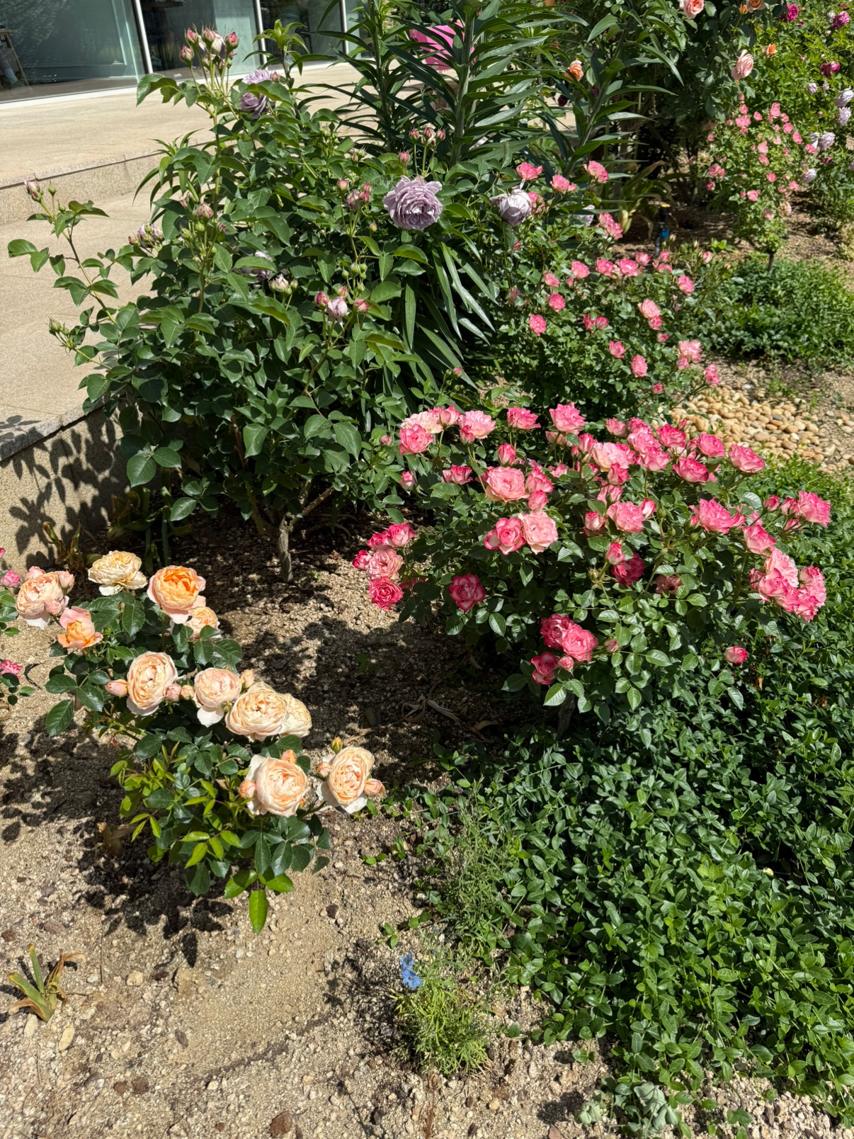 Post image 6