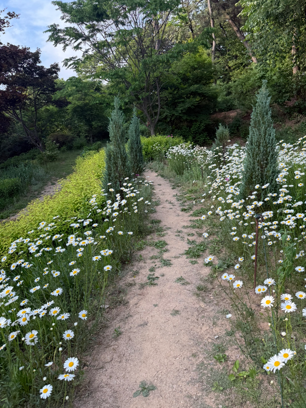 Post image 6