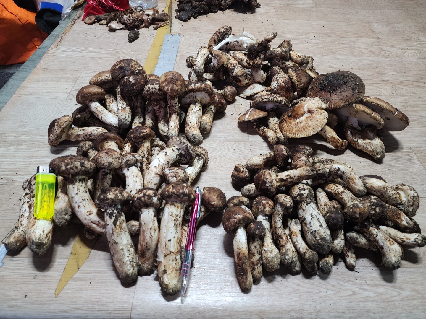 Post image 13