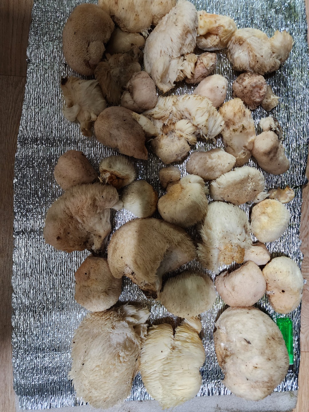 Post image 15