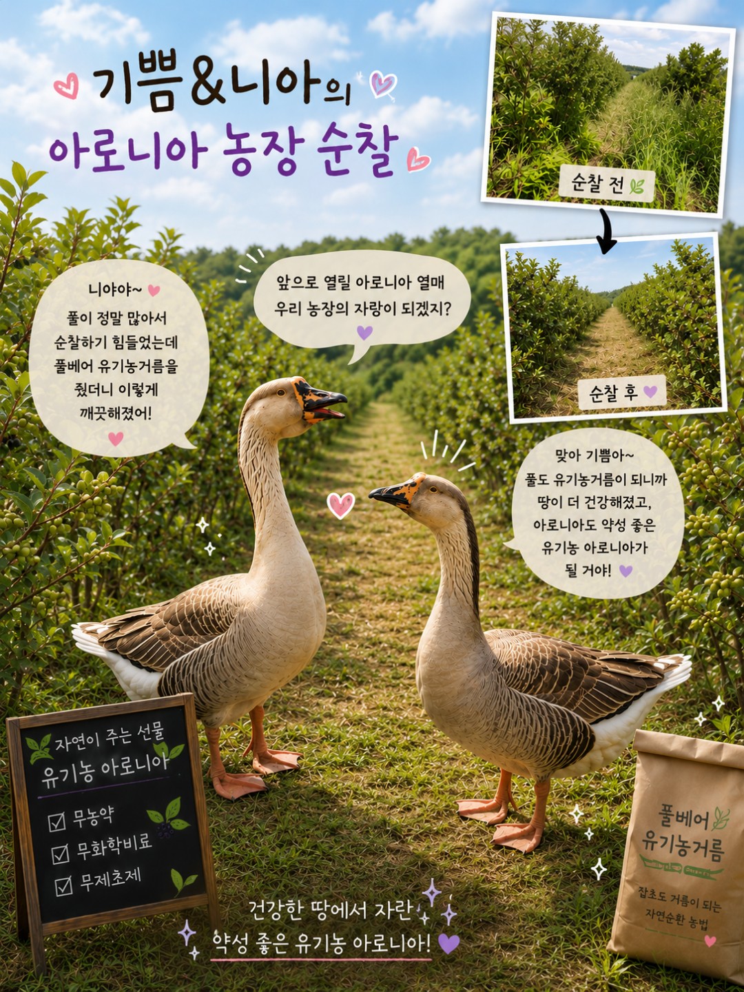 Post image 10