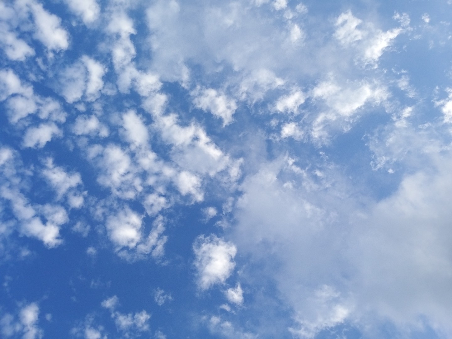 Post image 22