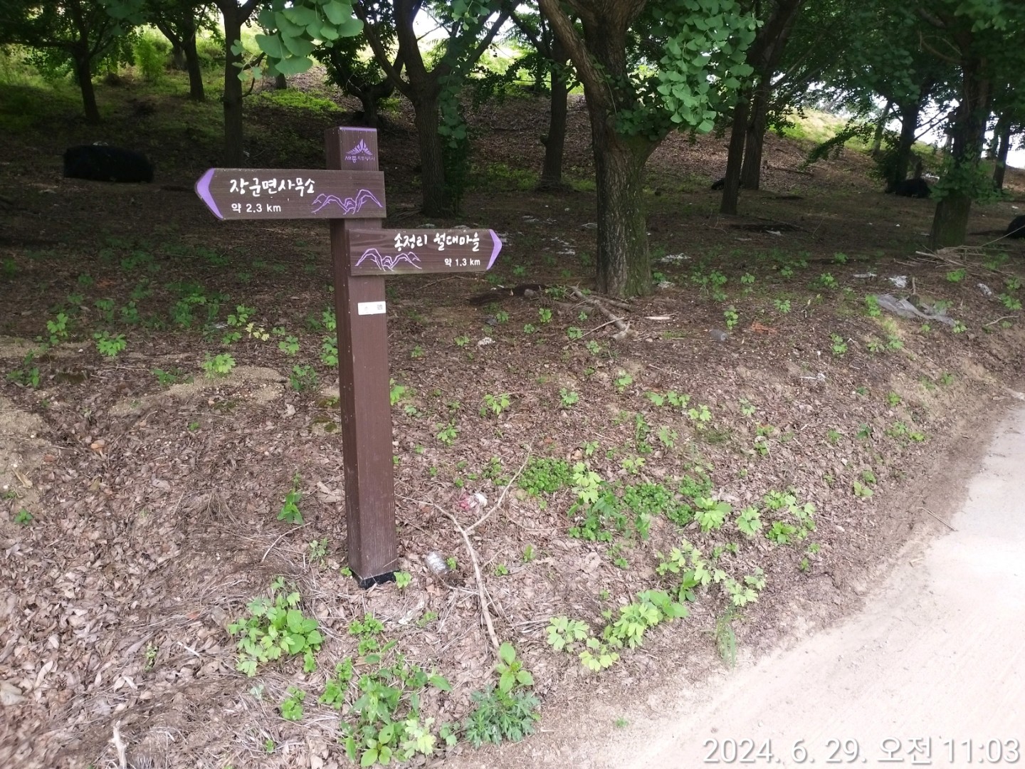Post image 23