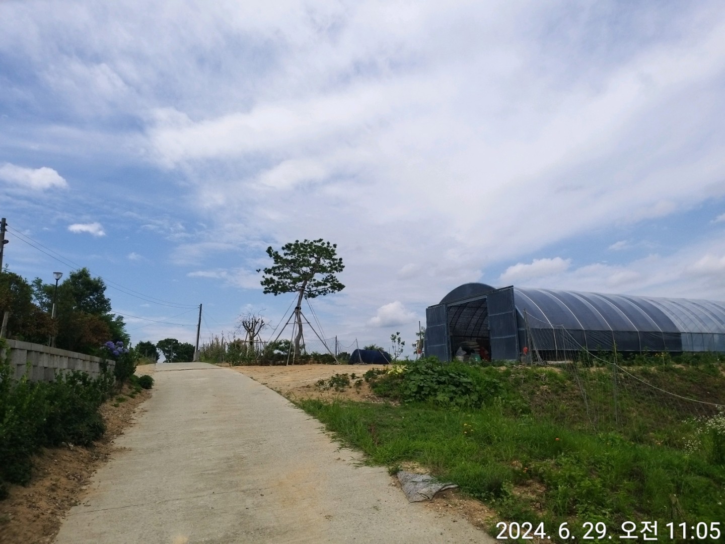 Post image 25