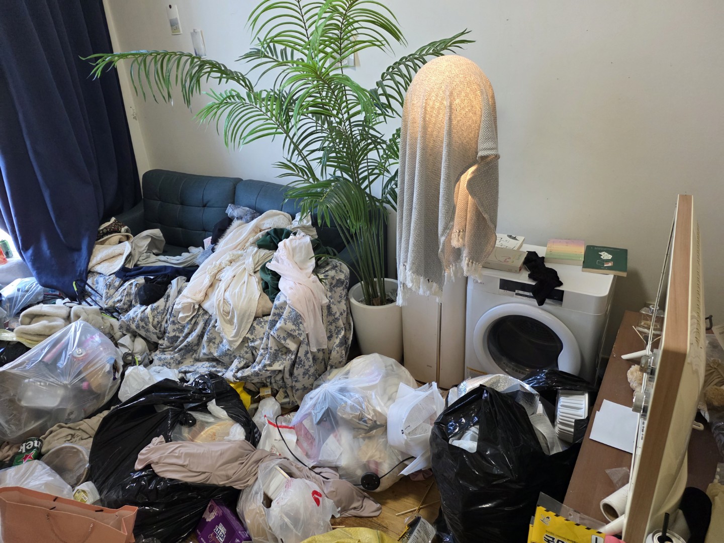 Post image 6