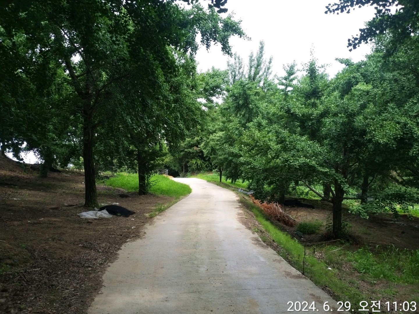 Post image 24