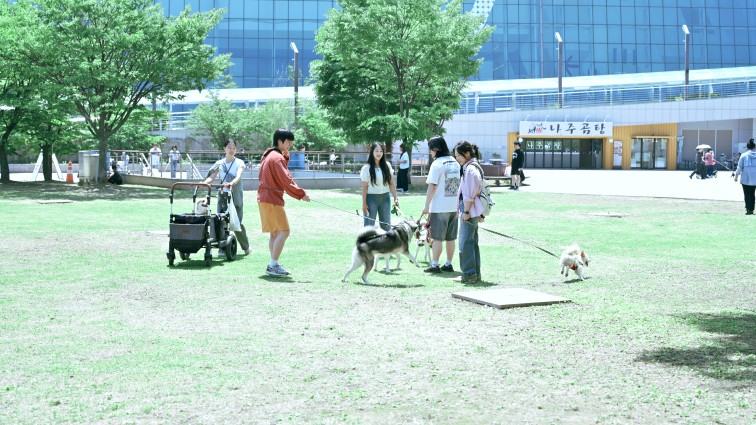 Post image 10