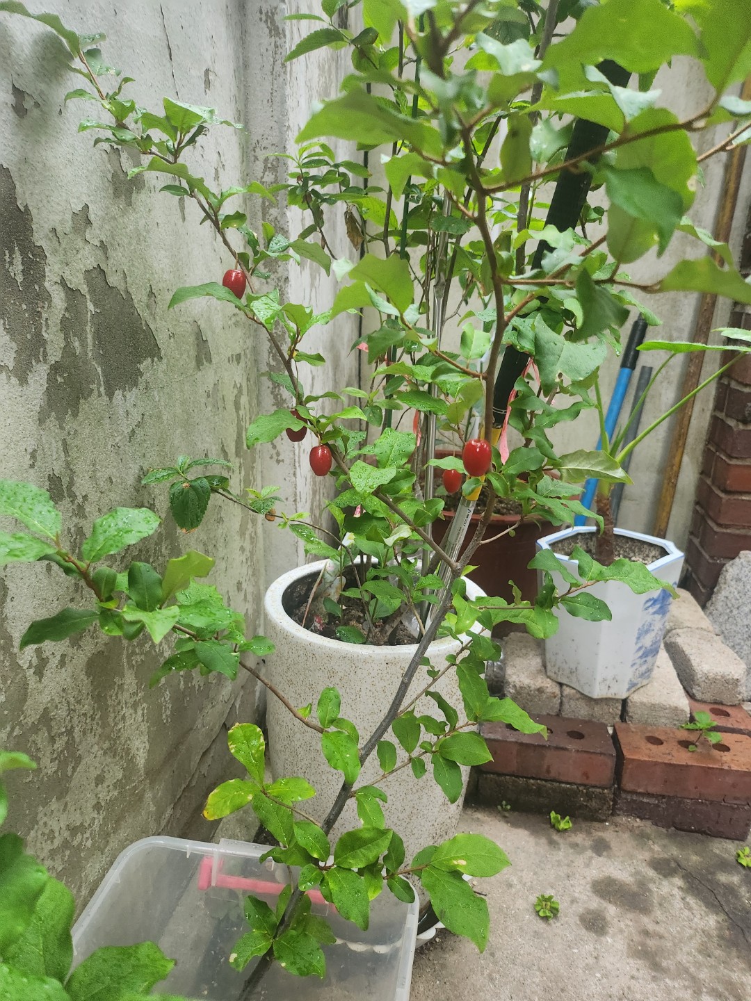 Post image 4