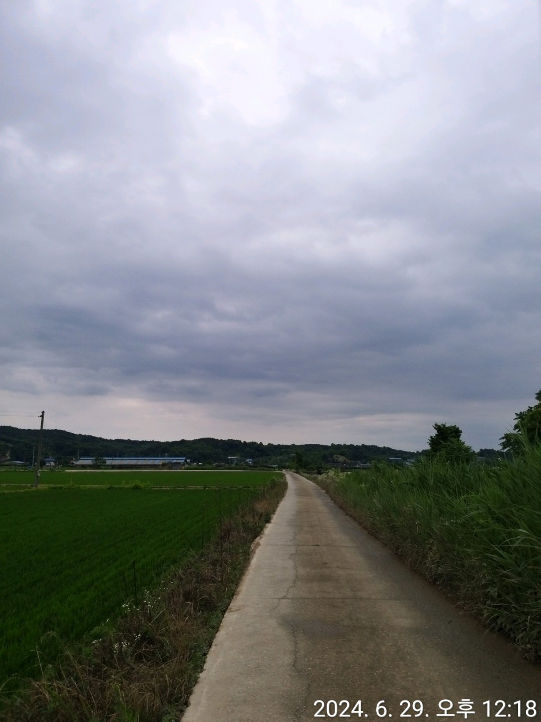 Post image 26