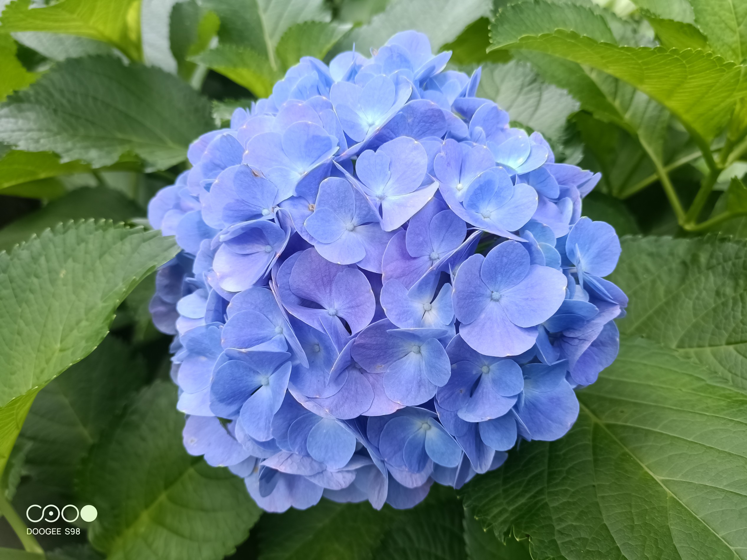 Post image 5