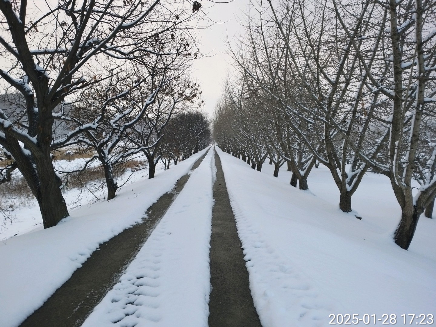 Post image 36